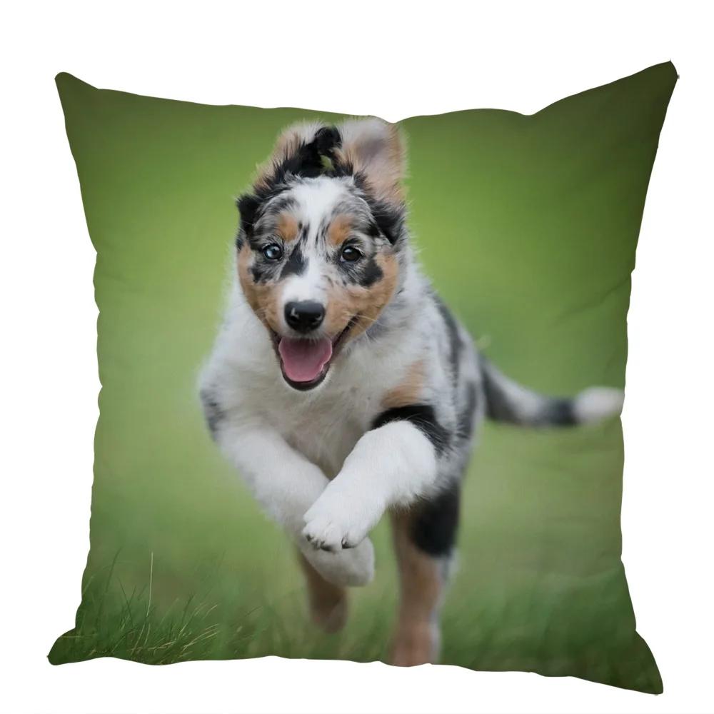 Cute Australian Shepherd Dog Pillow Case Peach Skin Decor Pet Animal Cushion Cover Thorw Pillowcase for Sofa Home Car 45x45cm