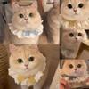 Pure Cotton Lace Pet Scarf: Cat/Dog Bib with Bowknot Decoration