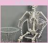 Body 54ft Full Skeleton Props Movable Joints Haunted House Halloween Decoration