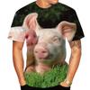 Men Fashion Short Sleeve 3d Print T Shirt Round Neck Summer Plus Size Tees