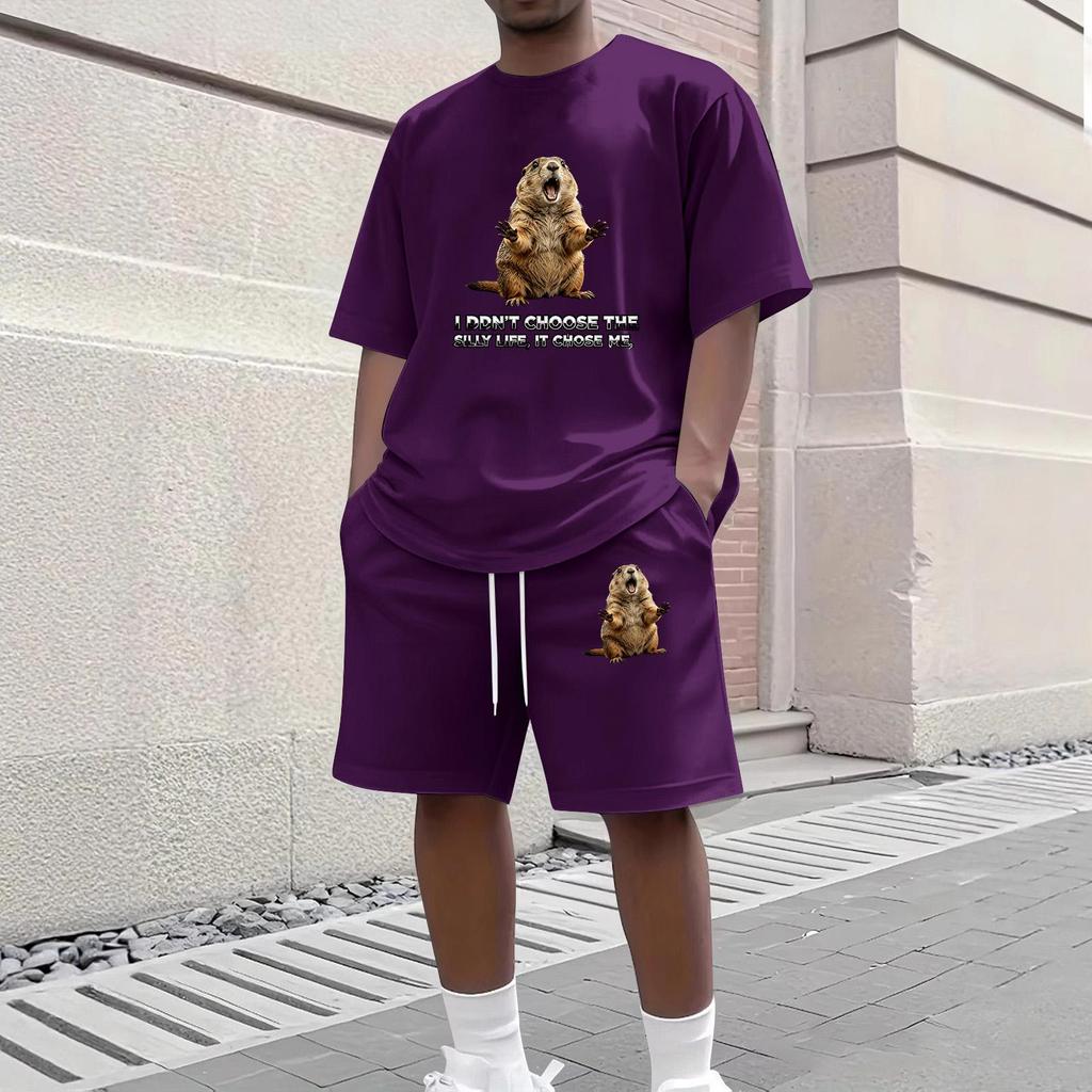 Men's Casual Two Piece Set Short Sleeve Crew Neck T Shirt and Shorts with Animal Print Loose Fit Summer Outfit Comfortable Daily Wear