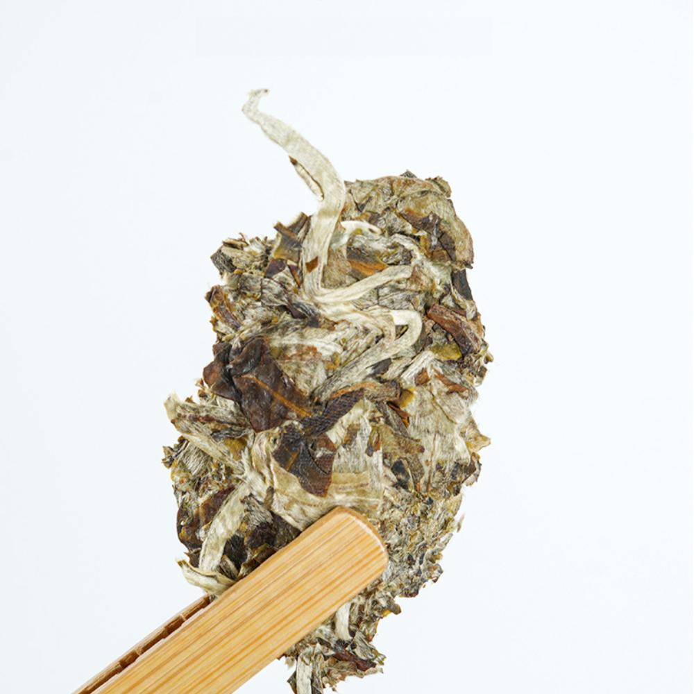 Yunnan Tea Tree King Moonlight White Tea Cake 200g - White Tea