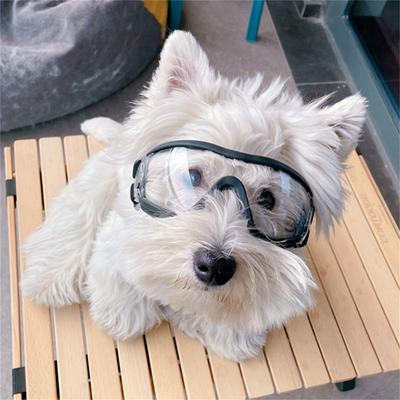 Hundebrille für kleine Rassen, Hundesonnenbrille, UV-Sonnenbrille für Hunde, winddicht, weicher Rahmen, verstellbare Riemen für kleine/mittelgroße Hunde, Welpen