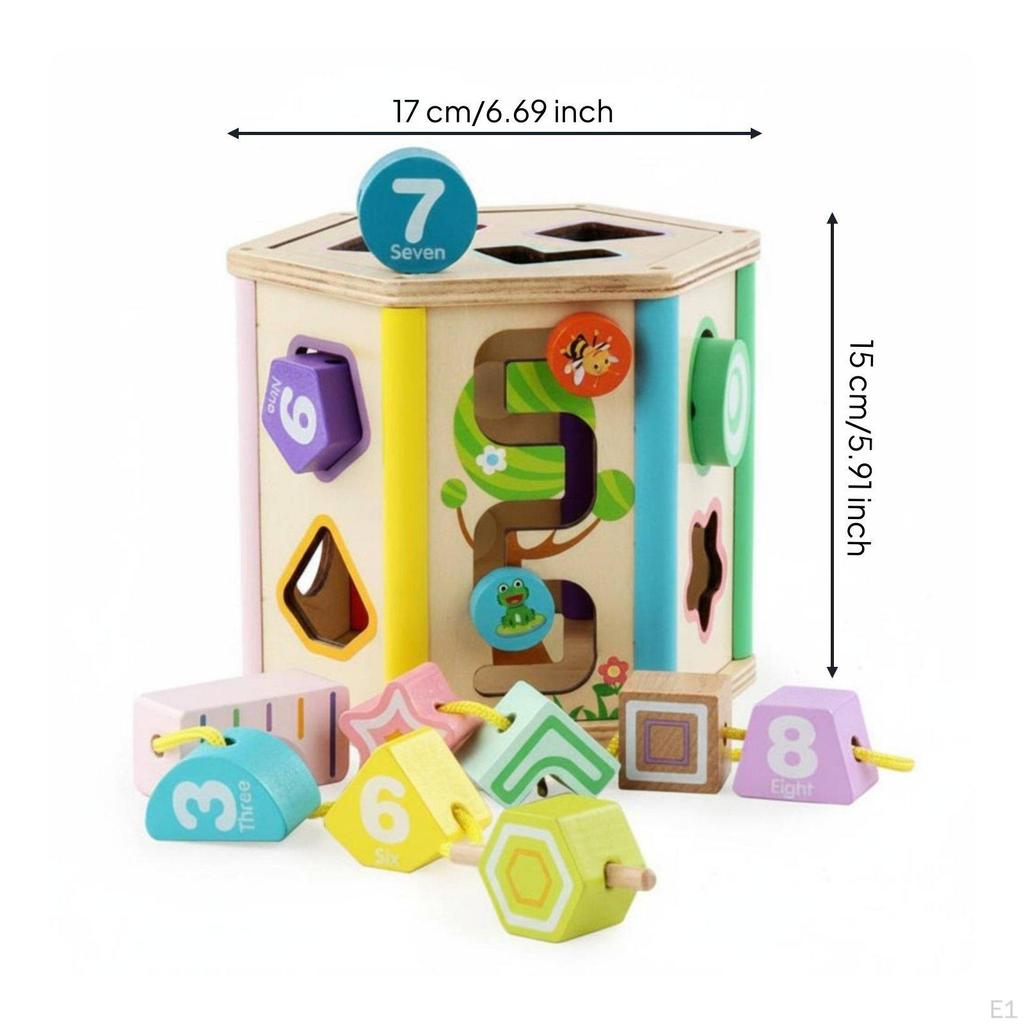 Wooden Shape Sorting Toy Early Learning Sorter Fine Motor Skills Educational