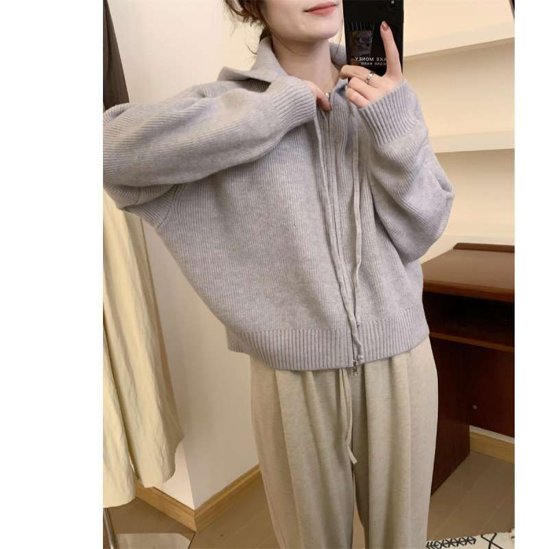 Toamnă și iarnă, în stil coreean, cu fermoar, pulover cu glugă, cardigan, jachetă, top tricotat la modă pentru femei