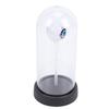LED Color Night Light with Eyeball Decor Spooky Theme Lighting Ornament for Festival Party Scene Setting