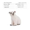Realistic Arctic Animal Models: Polar Bear, Arctic Fox, Seal, Walrus, Whale