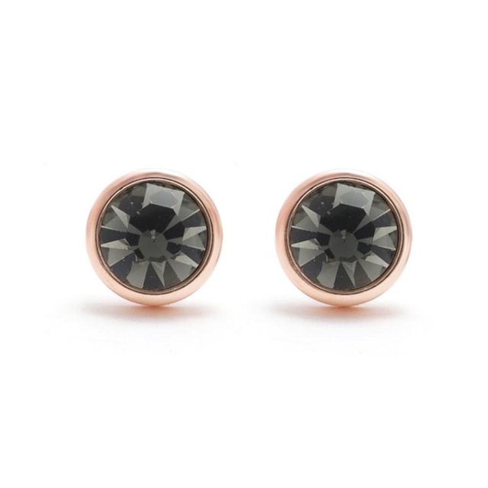 E530 Silver Knight 6mm Crystal Rose Gold Earrings