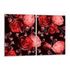Glass Stovetop Protector 2x40x52 Roses