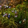 2 Modes Solar Butterfly Lights 6 LED Stake Lights Landscape Outdoor Decor Light  Courtyard