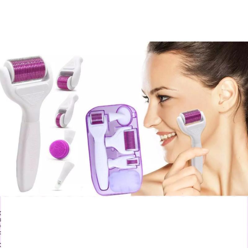 Roller 6 Derma In 1 Titanium Micro Needle Anti Ageing Facial Skin Care Tool Set