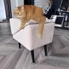 2-In-1 Convertible Wooden Home Step Stool Dog Ramp Stairs With Anti-Slip Panels And Suction Cups