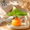 Hydroponik-Efeutopf Orangenförmige Vase, Dekorativer Hydroponik Kreativer Blumenbehälter, Kleiner Schreibtisch-Pflanztopf für Wohnzimmer Bücherregal