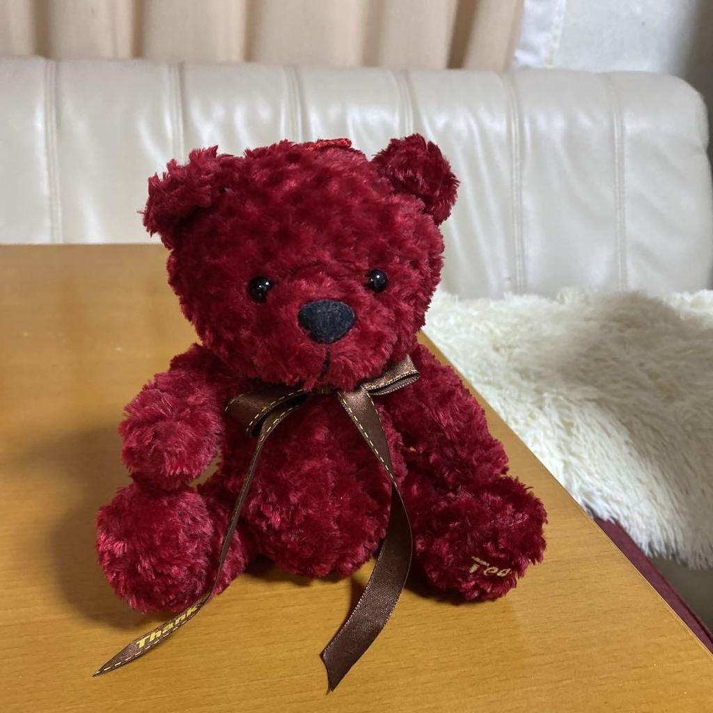 [USED] Red teddy bear