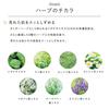 CEFINE Herbary Cica Creme 50g