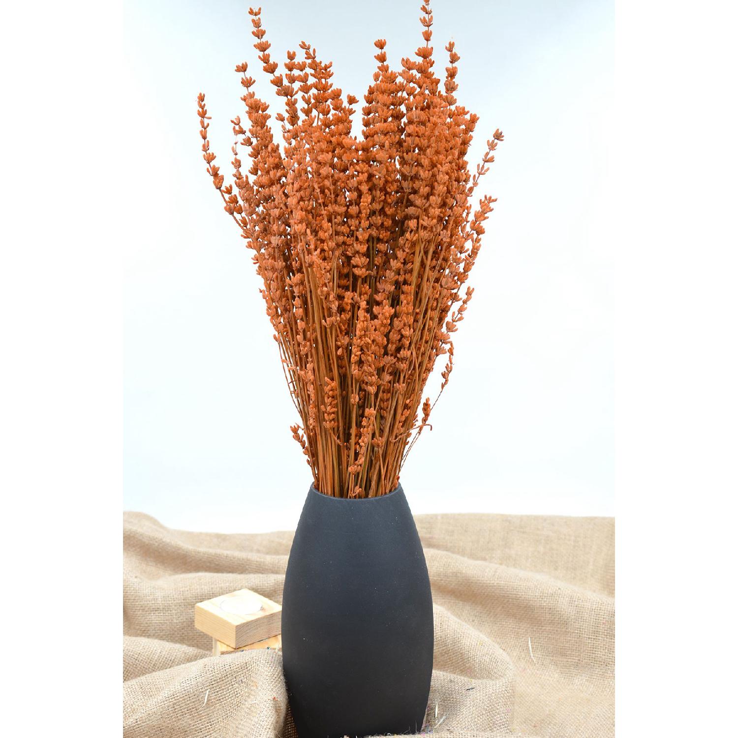 

Shocked Real Lavender Bunch Orange оранжевый
