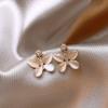 Zir*****pal butterfly stud earrings fashion niche design earrings French versatile earrings