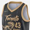 Nike x NBA Toronto Raptors City 20-21 Edition Jersey 'Pascal Siakam 43' Men's DB4046-010