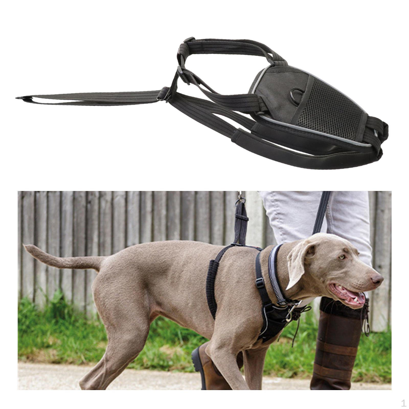 

Dog Harness Leash Adjustable Nylon Easy Control Medium Large Heavy Duty Harness