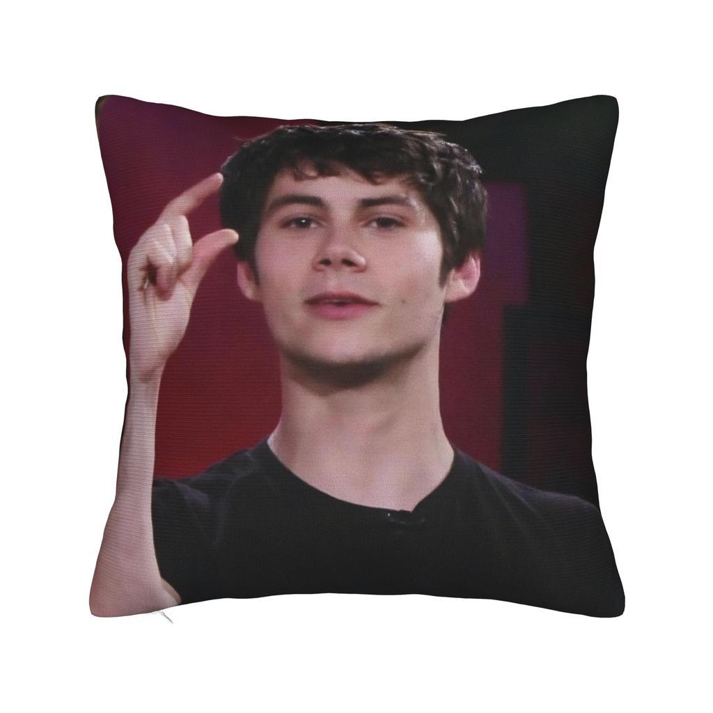 Dylan Obrien Actor Pillow Cover Accessories Soft Cushion Cover Decorative Pillow Case Cover Home Multi Size