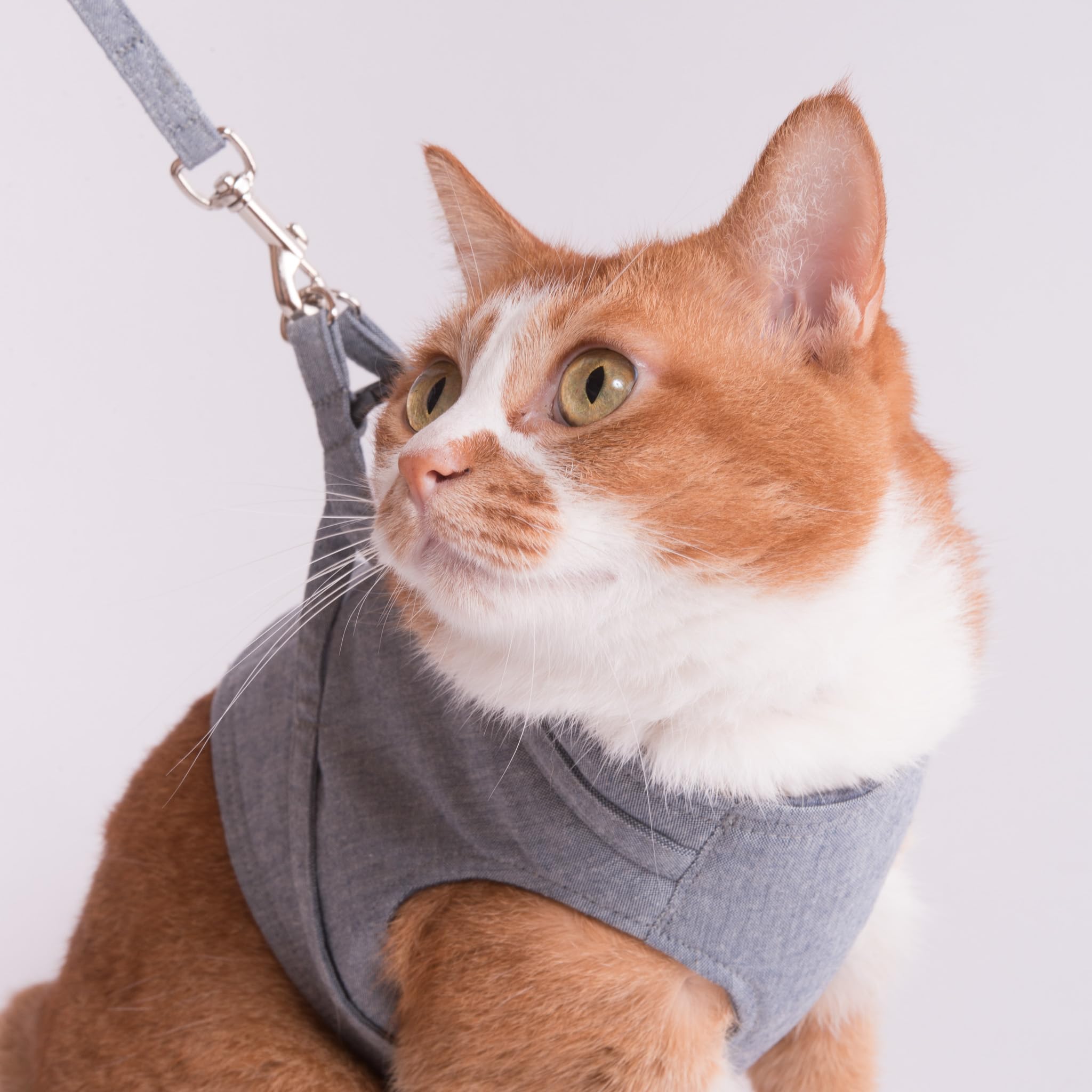 

Poponeko harness with lead in organic easy to put on and hard to take [Discounted] Cat-friendly vest-style (Made Japan, cotton, off) (Blue, L) синий