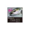 Daiwa Real Blade TG Jigging Lure 80g Kaimura Iwashi Fishing Tackle