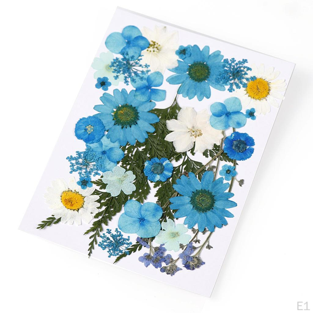 Dried Flowers DIY Decorative for Resin Jewelry Making Crafts Nail Stickers