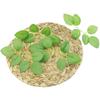 (20Pcs/pack) 12cm Green Simulated Tree Leaves Rose Leaf Home Decoration Vase Decoration Bouquet Packaging Diy with Handmade