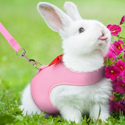 Kaninchengeschirr Weiches Netz Kleintier Kein Zug Komfort Gepolsterte Weste für Kaninchen Meerschweinchen Eichhörnchen und andere Kleintiere