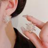 Shiny Zircon Snowflake Silver Needle Earrings High Sense Fashion Exquisite Flower Earrings Light Luxury Internet Celebrity Fairy Wind Earrings