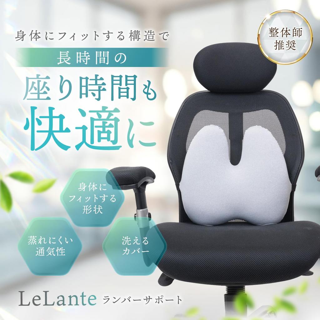 LeLante Car Cushion, Lumbar Support, Seat Cushion, Lower Back Pain, Driver's Seat Cushion, Memory Foam, Dark Gray