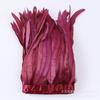 25-30Cm Dyeing Purple Tail Cloth Edge Clothing Accessories Pendant Handicraft Material Chicken Feather Cloth Belt Diy