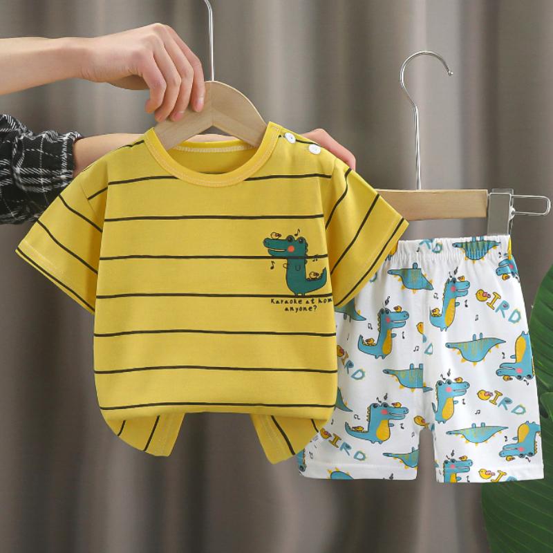Toddler's Summer Bear Print T-shirt and Shorts Set