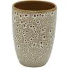 Aquanova Ugo Ginger Toothbrush Holder for the Bathroom
