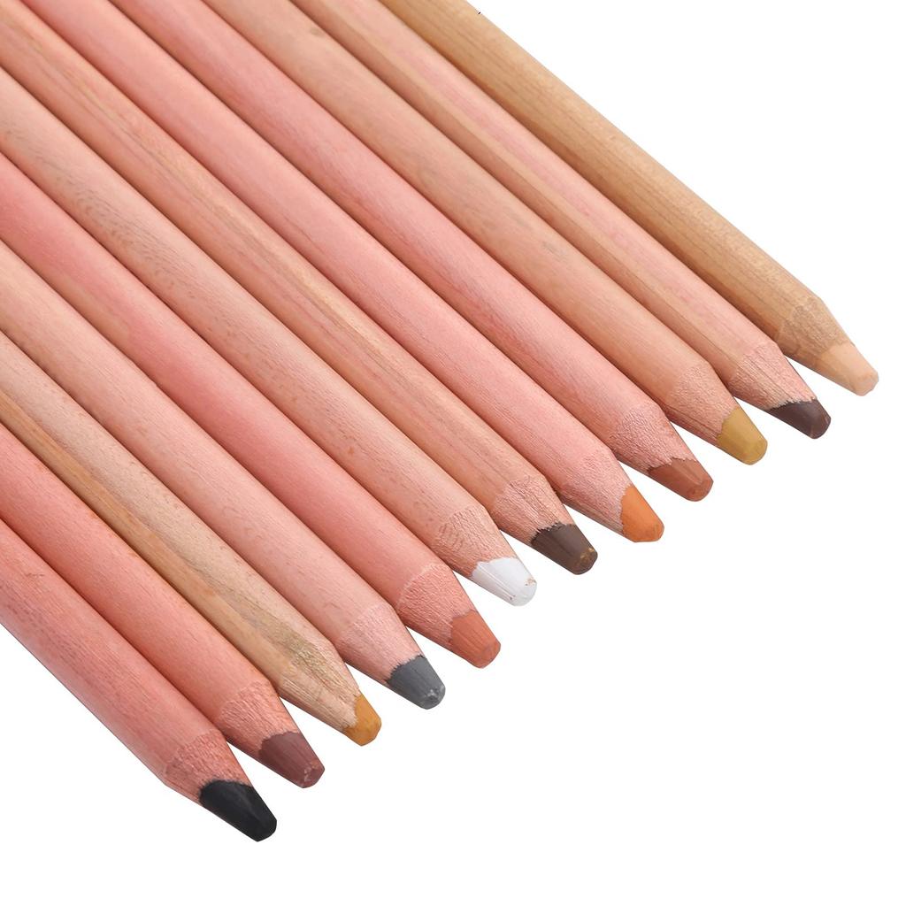 12 Zerodis Pastel Professional Color Charcoal Pencils Portrait Pastel Pencils for Layering and Pencils, Sketching, Shading, Coloring, Blending.