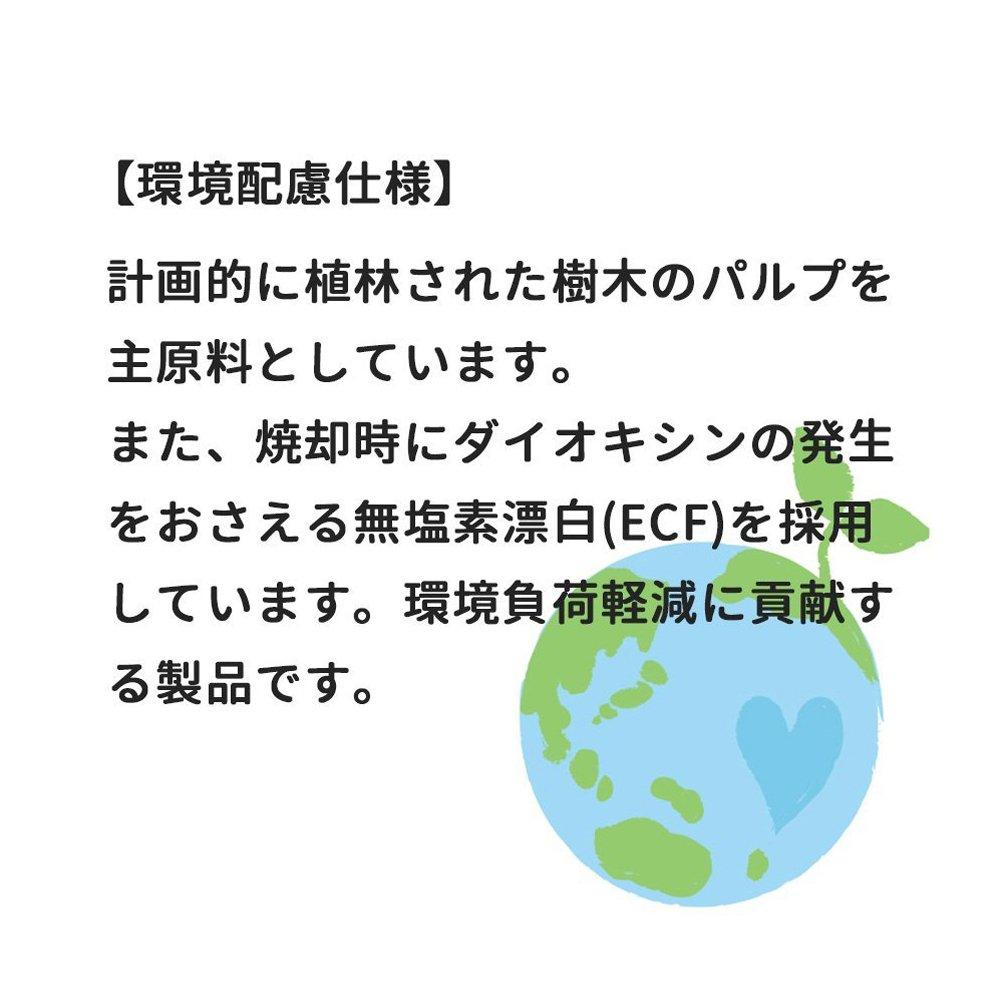 Maruman B5 Loose Leaf Color Assortment L1231-99