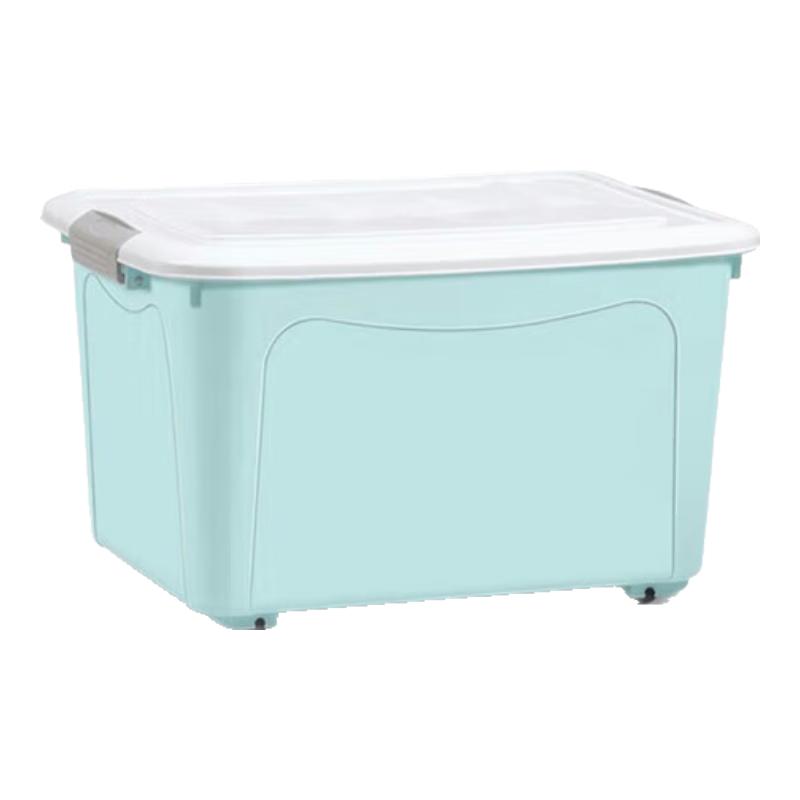 Large Thickened Plastic Storage Box
