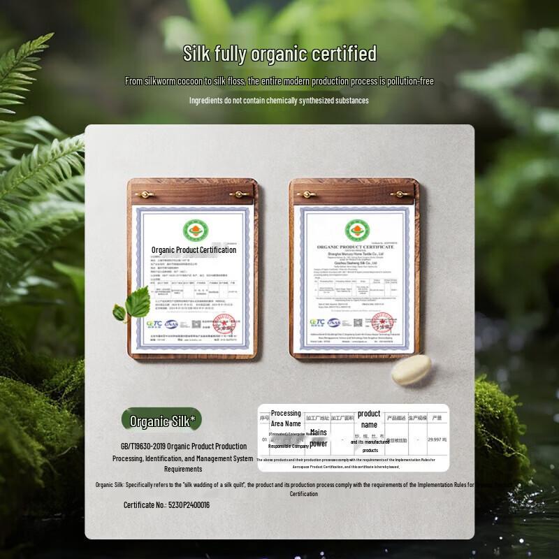 Mercury Home Textiles Qingsang Glimmer Antibacterial Tussah Silk All-Season Duvet