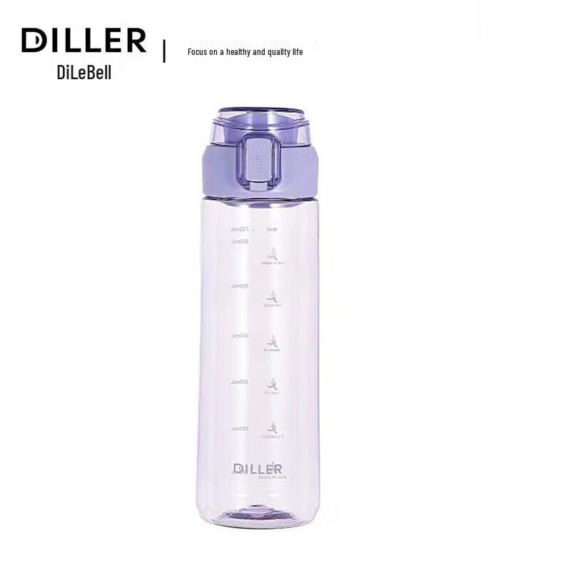 Diller Portable Insulated Water Bottle