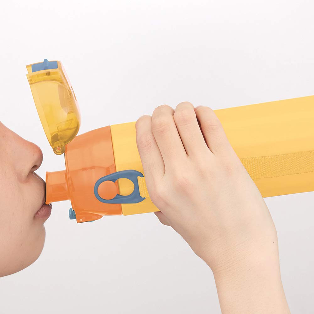 Skater Edelstahl Wasser Minion Minions Kinderflasche, 580ml, 20, SDC6N-A