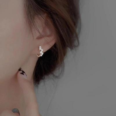 Women's Point Stone Semicircle Luxury Earrings