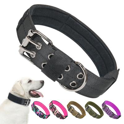 Köpek – Köpek Tasmaları ve Tasma Kayışları