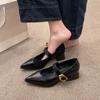 Pointed Toe Mary Jane Shoes Women's Spring New Vintage Versatile Block Heel One Strap Shoes