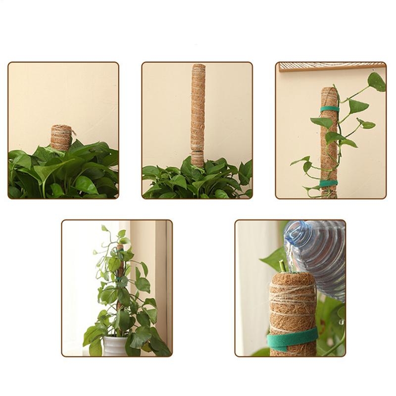 Monstera Pole Coir Totem Plant Climbing Pole Monstera Stake Sturdy Structure Gardening Cocoanut Stick Indoor Trellis for Pothos