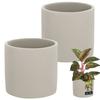 Kotarbau® 2 Pcs. Cylinder Flower Pot 16 Cm Ceramic Flower Pot Concrete Plant Cover