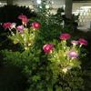 Solar Lotus Flower Lawn Lights with Snow Effect, Waterproof Outdoor Garden Stake Lamp for Patio Wedding Mother's Day Decor