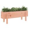 VidaXL Lit surélevé de jardin 101x30x38 cm bois douglas massif 825189