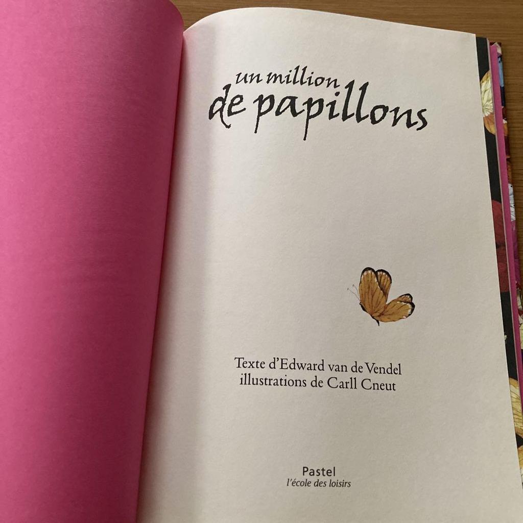 [USED] "Un Million De Papillons" French Picture Book