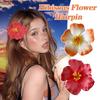 Plumeria Hibiscus Flower Hair Clip Hawaiian Flower Side Bangs Clip For Women Seaside Beach Hibiscus Flower Hairpin Headband