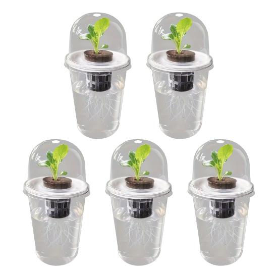 1/2/3/5/6/8/10Pcs Hydroponic Plants Growing Cup with Dome Transparent Plants Germination Pot Gardening Nursery Plants Starting Container